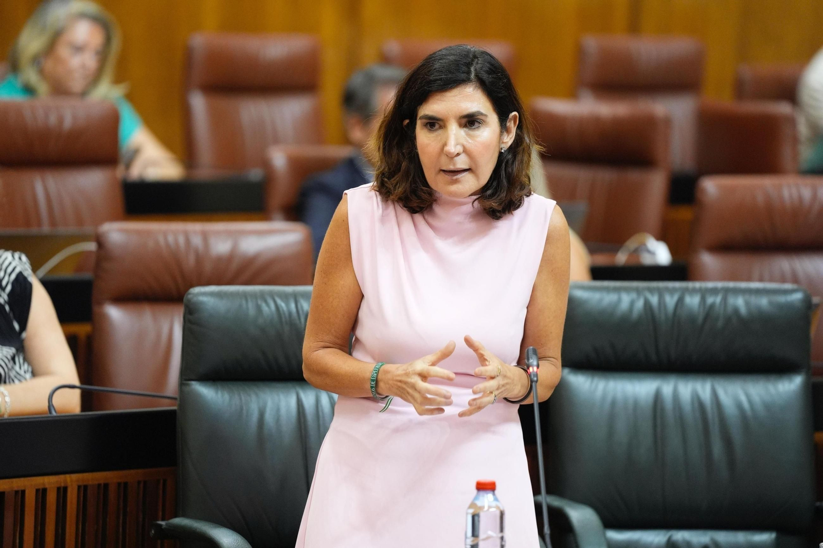 La consejera de Empleo, Empresa y Trabajo Autónomo, Rocío  Blanco , en pleno parlamentario.