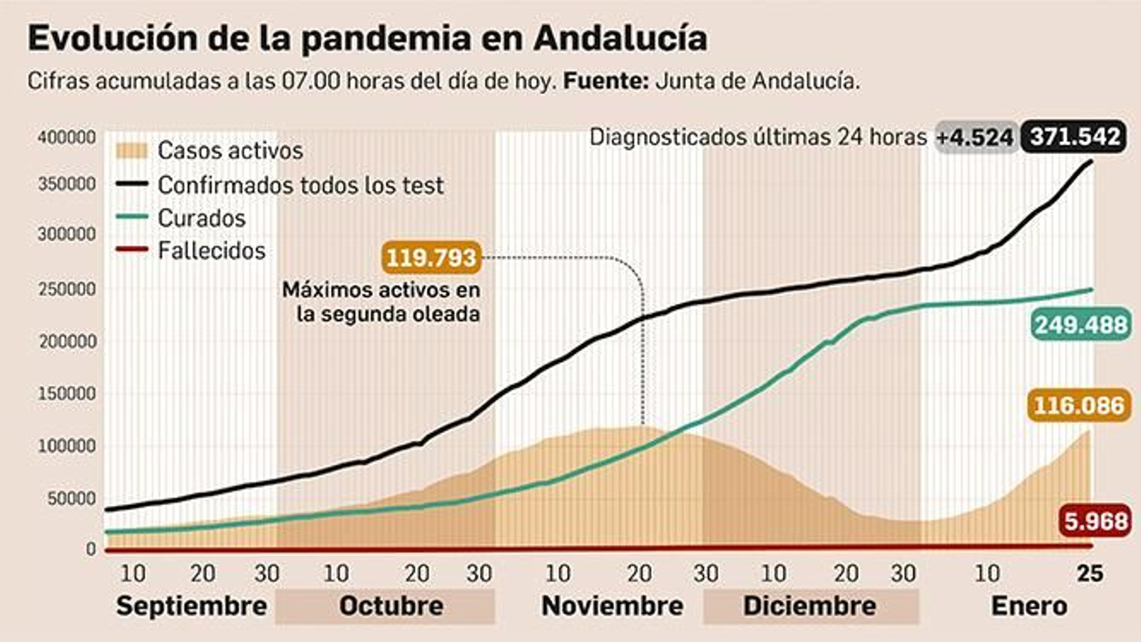 Balance de la pandemia en Andalucía a 25 de enero de 2021.