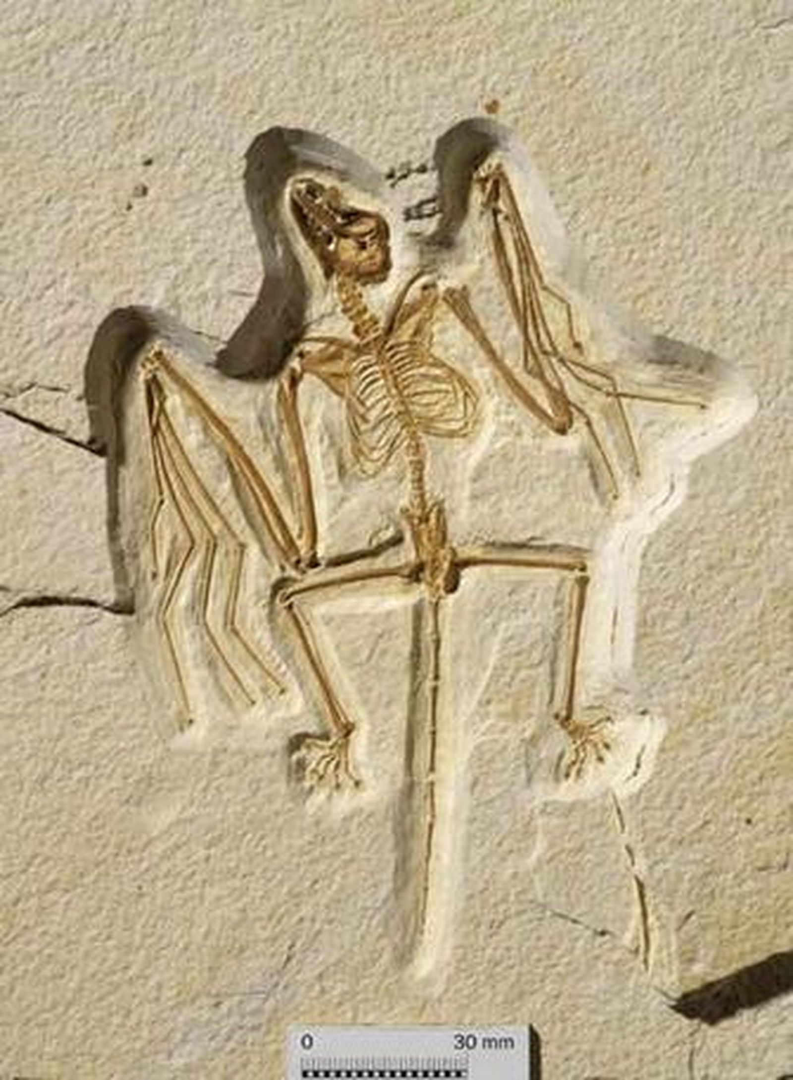 Astrónomos descubren la galaxia más lejana del Universo conocido