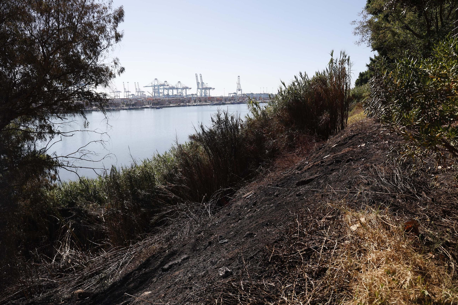 Así ha quedado la zona quemada por el incendio en el Paseo de la Cornisa de Algeciras