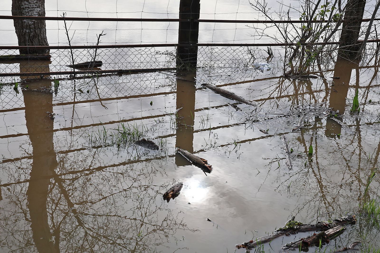 El estado de las marismas del Rocío tras el paso de la borrasca Marta