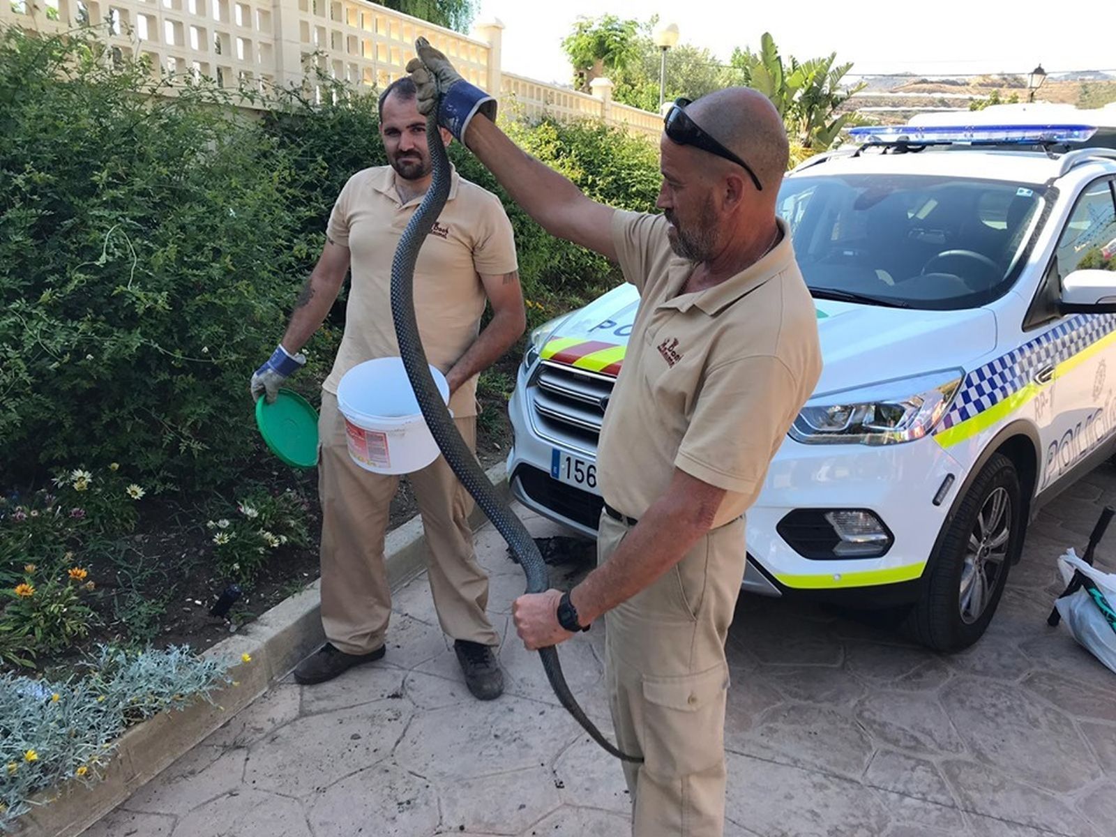 Operarios de Don Animal con la serpiente.