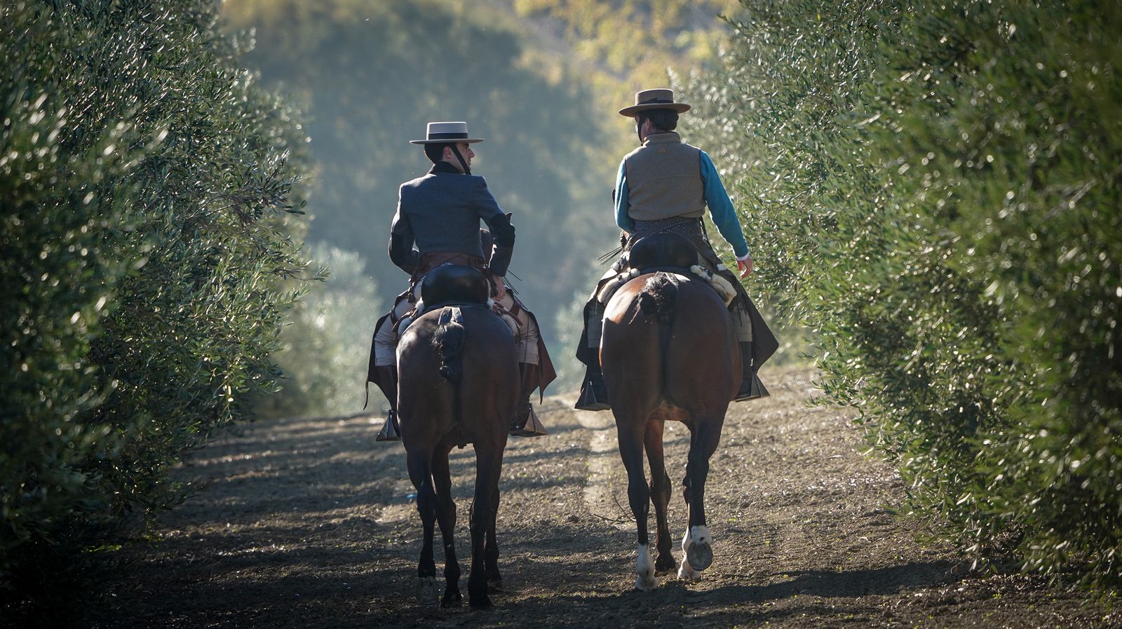 I Ruta de Carruajes Viñas de Jerez