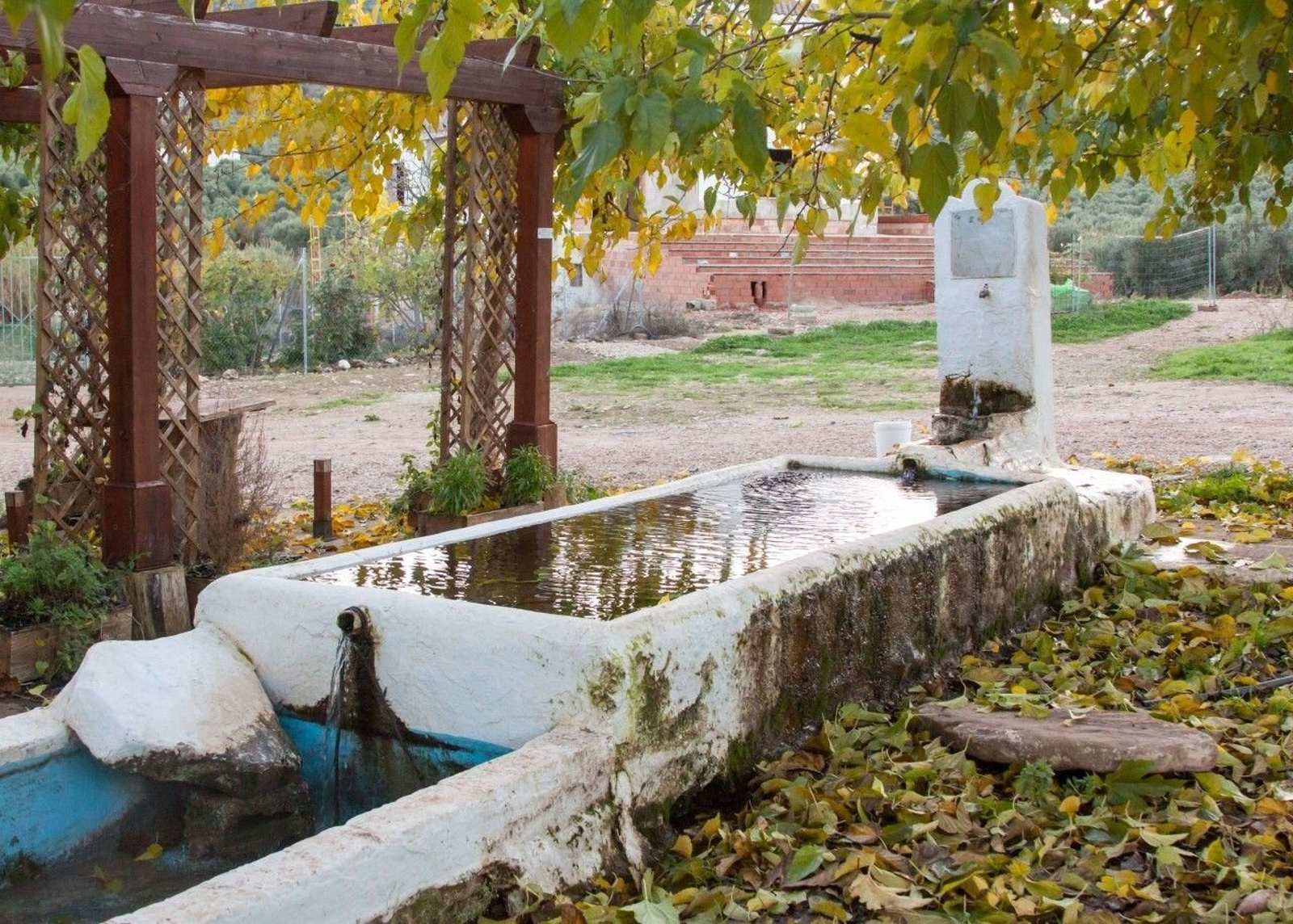 Fuente de Ventarique, en Arroyo del Ojanco.