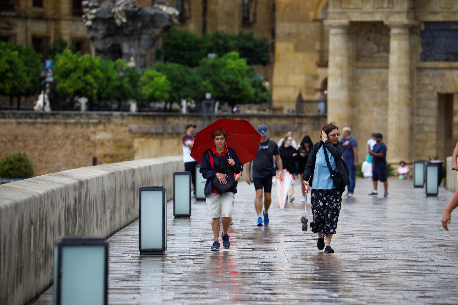 El paso de la tormenta por Córdoba, en imágenes