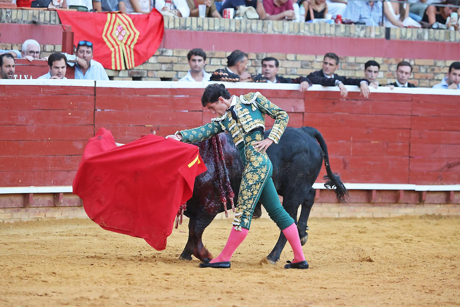 Toros La Merced 2024 Novillada con picadores(