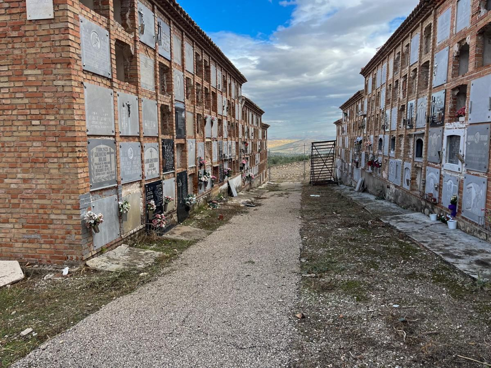 Día de Los Santos en el cementerio de San Fernando y San Eufrasio de Jaén, en imágenes