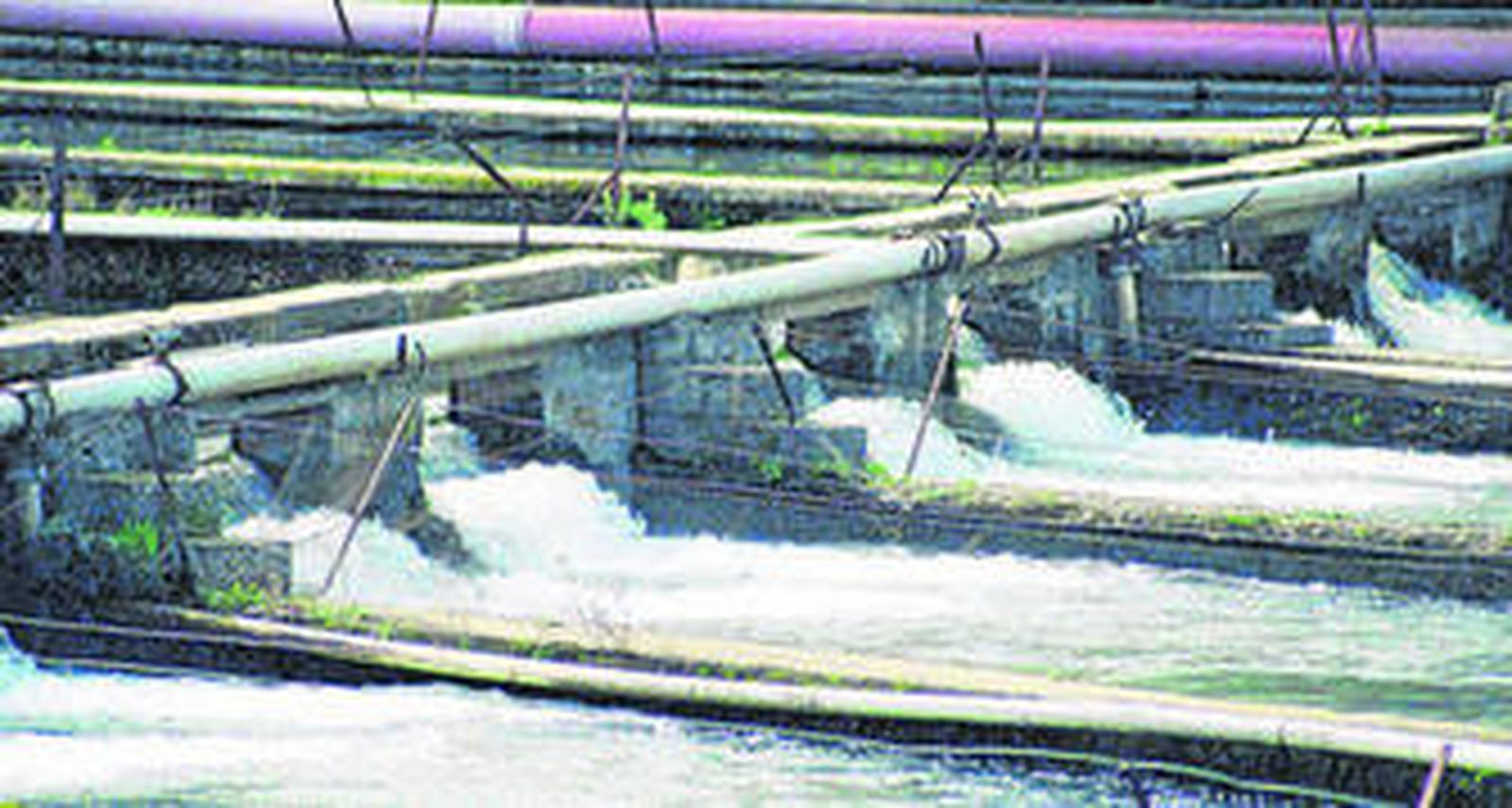Instalaciones de Piscifactoría Sierra Nevada, líder en la producción de caviar.