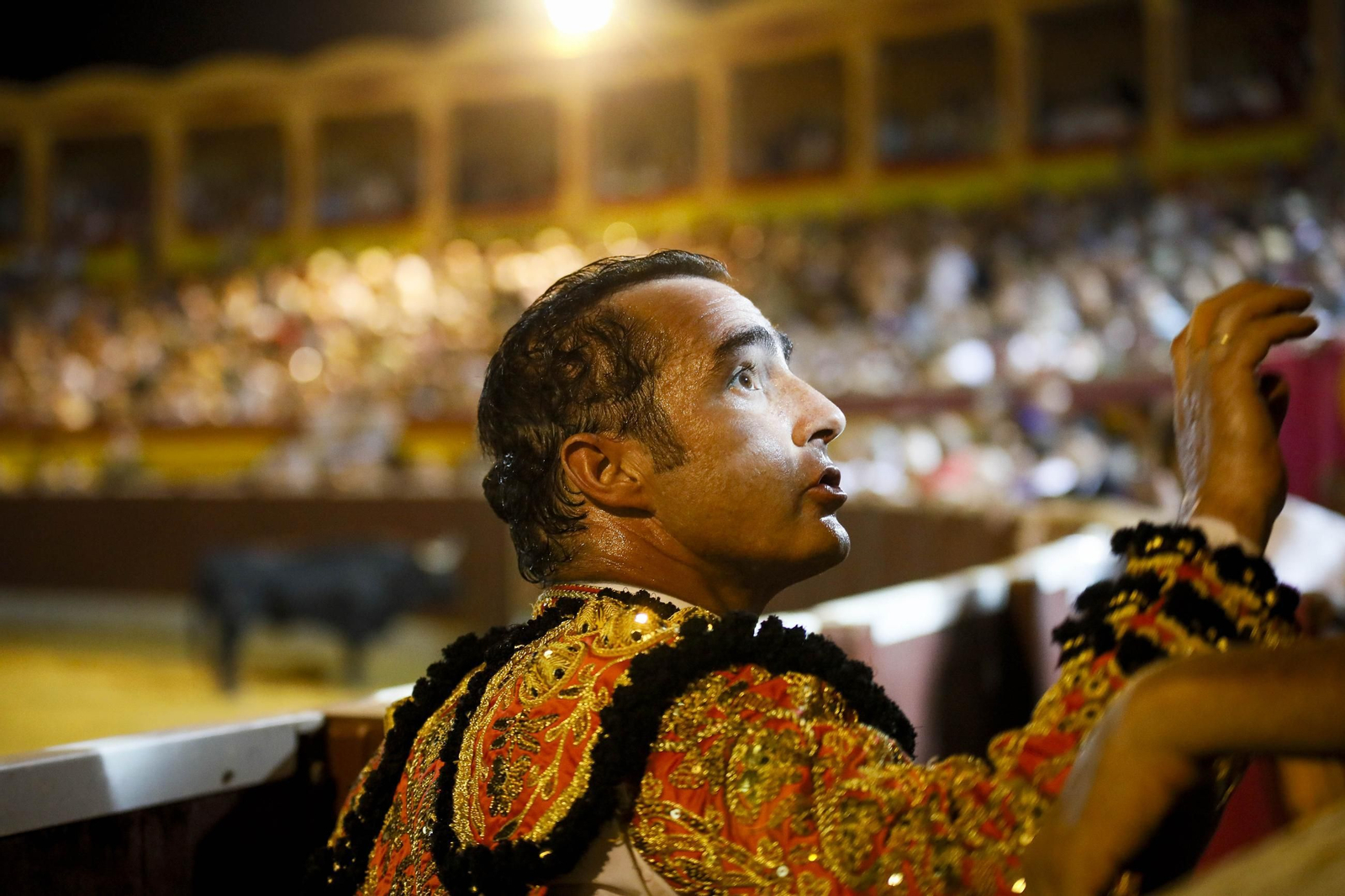 Corrida de toros Berja con un toro indultado, en imágenes