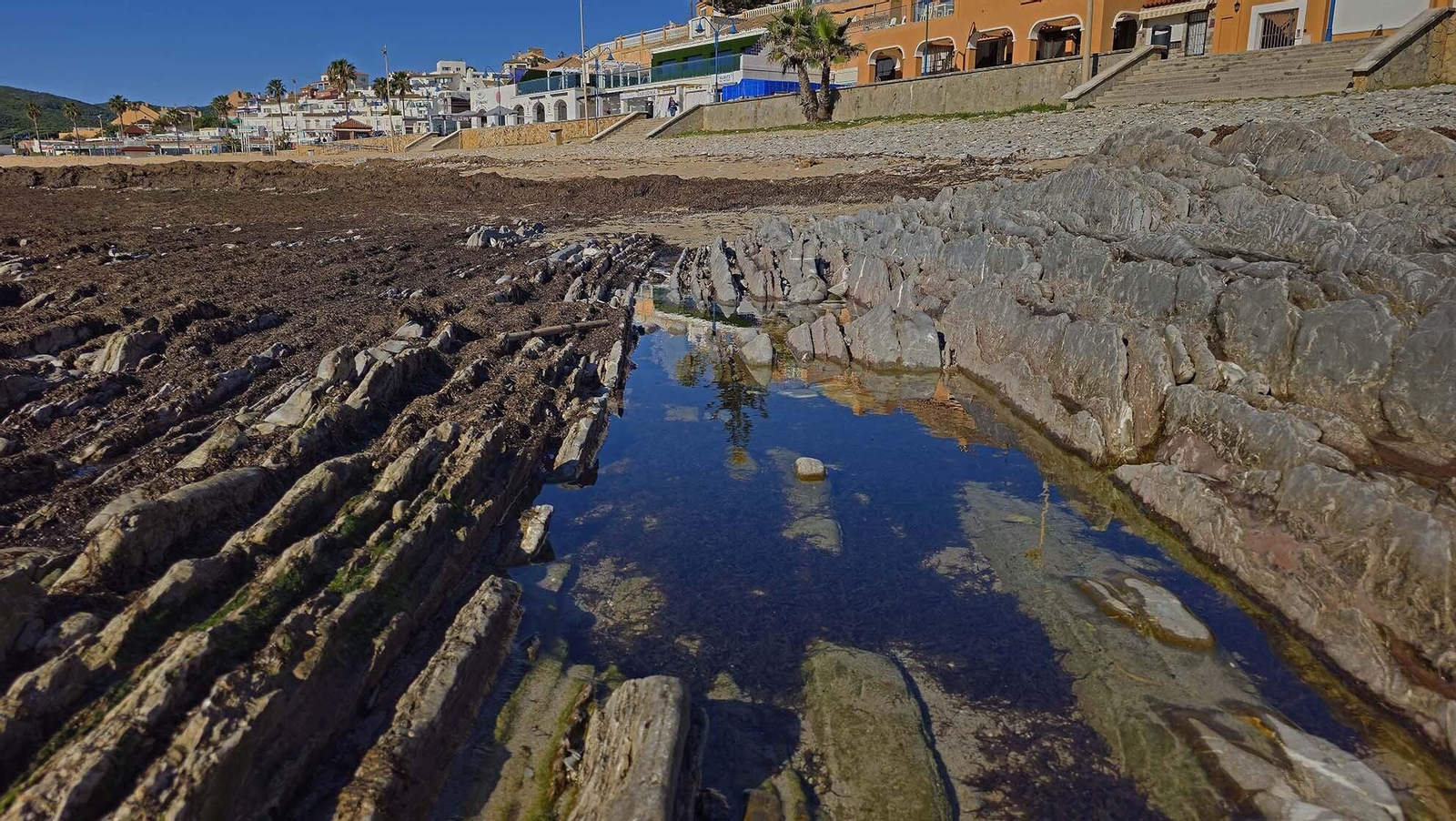 Imágenes del manto de alga parda en la playa de Getares