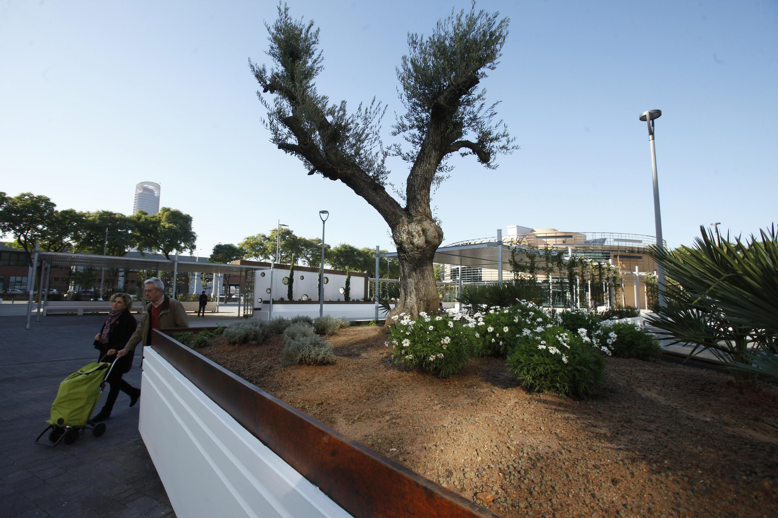 La reformada Plaza de Armas