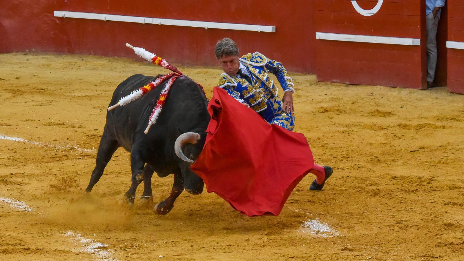 El festejo mixto de la Feria Real de San Roque, en imágenes