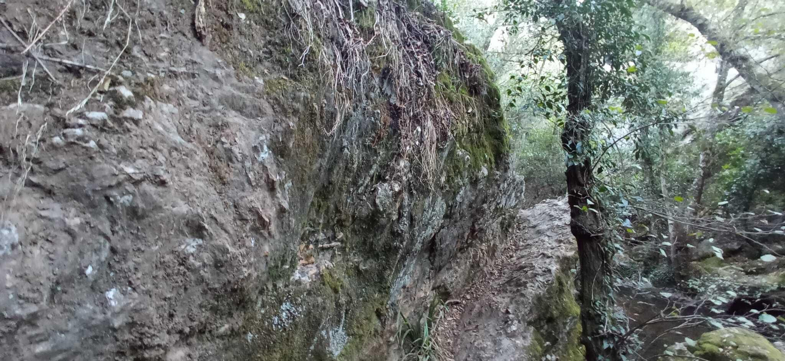 Las imágenes de la Ruta del charco malo