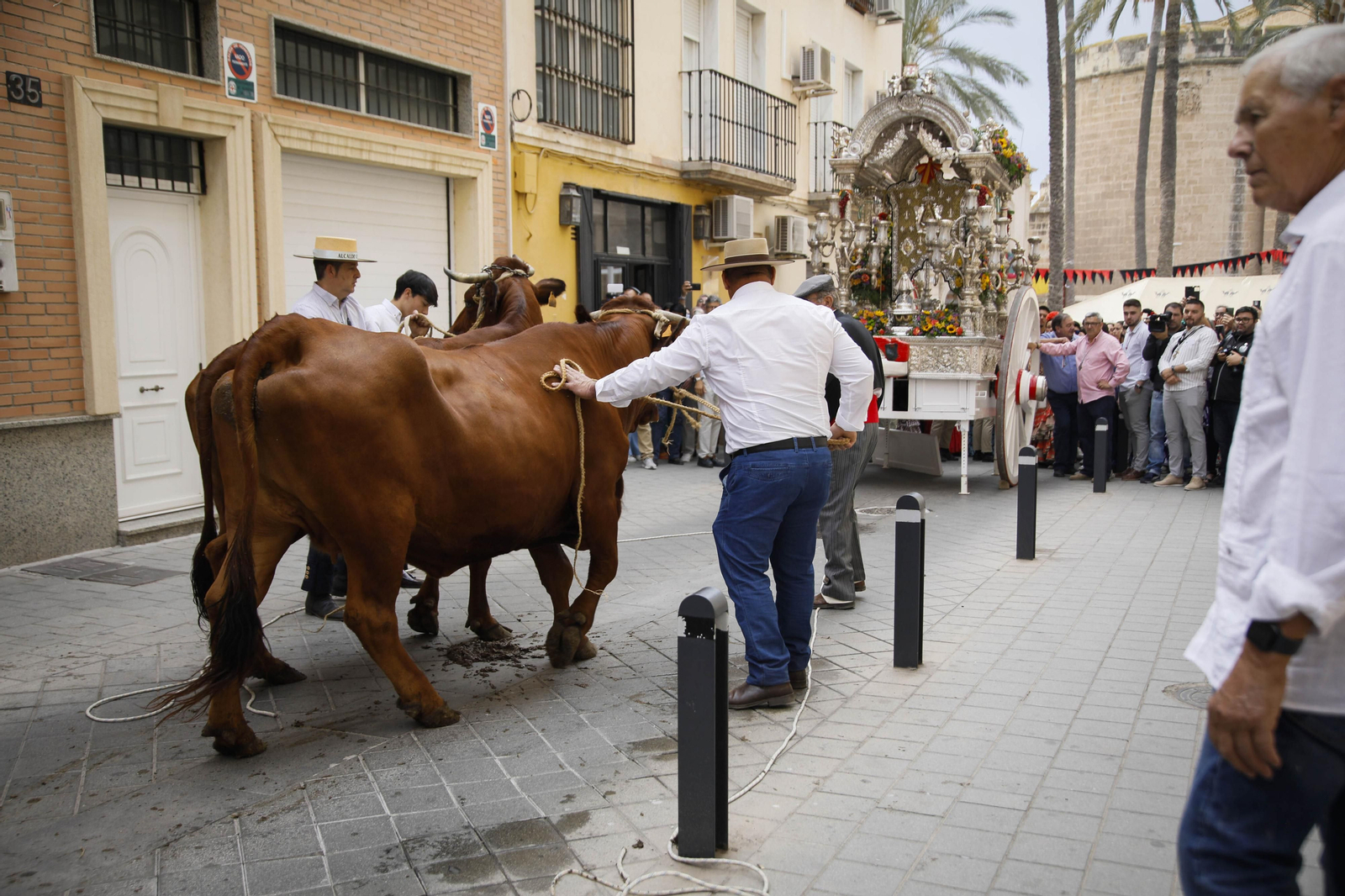 Imágenes de la salida  del Rocío desde la Catedral de Almería
