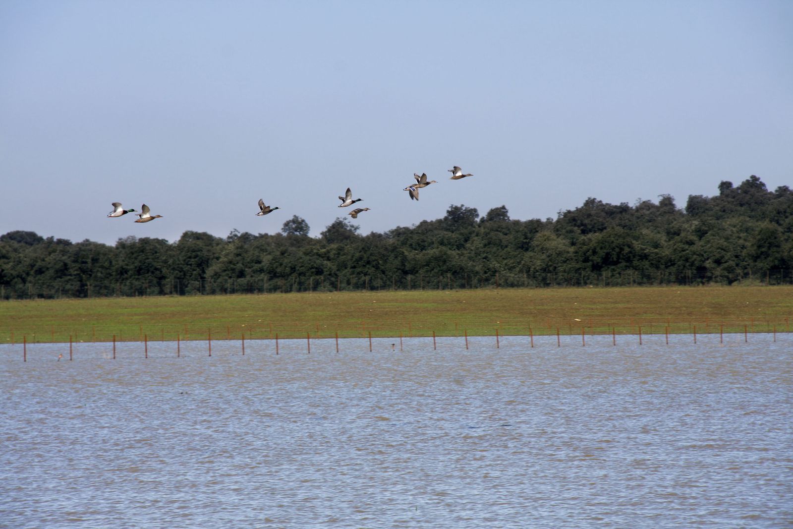 Una imagen de la Laguna de Alberca.