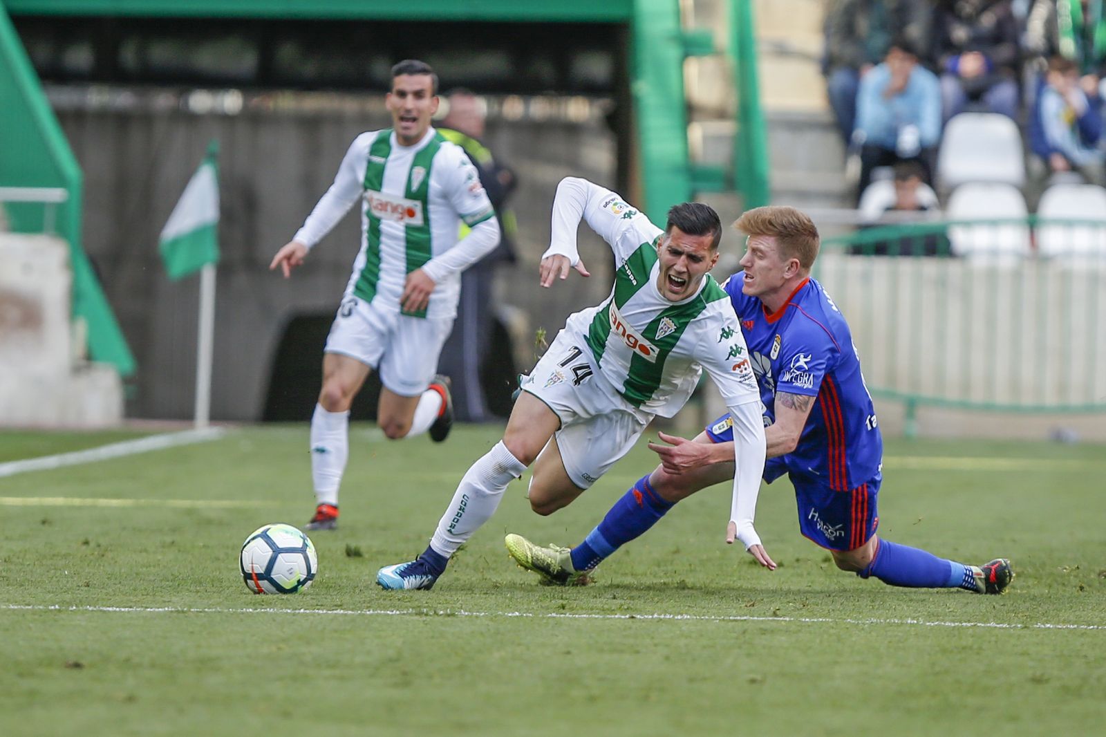 Las imágenes del Córdoba-Oviedo