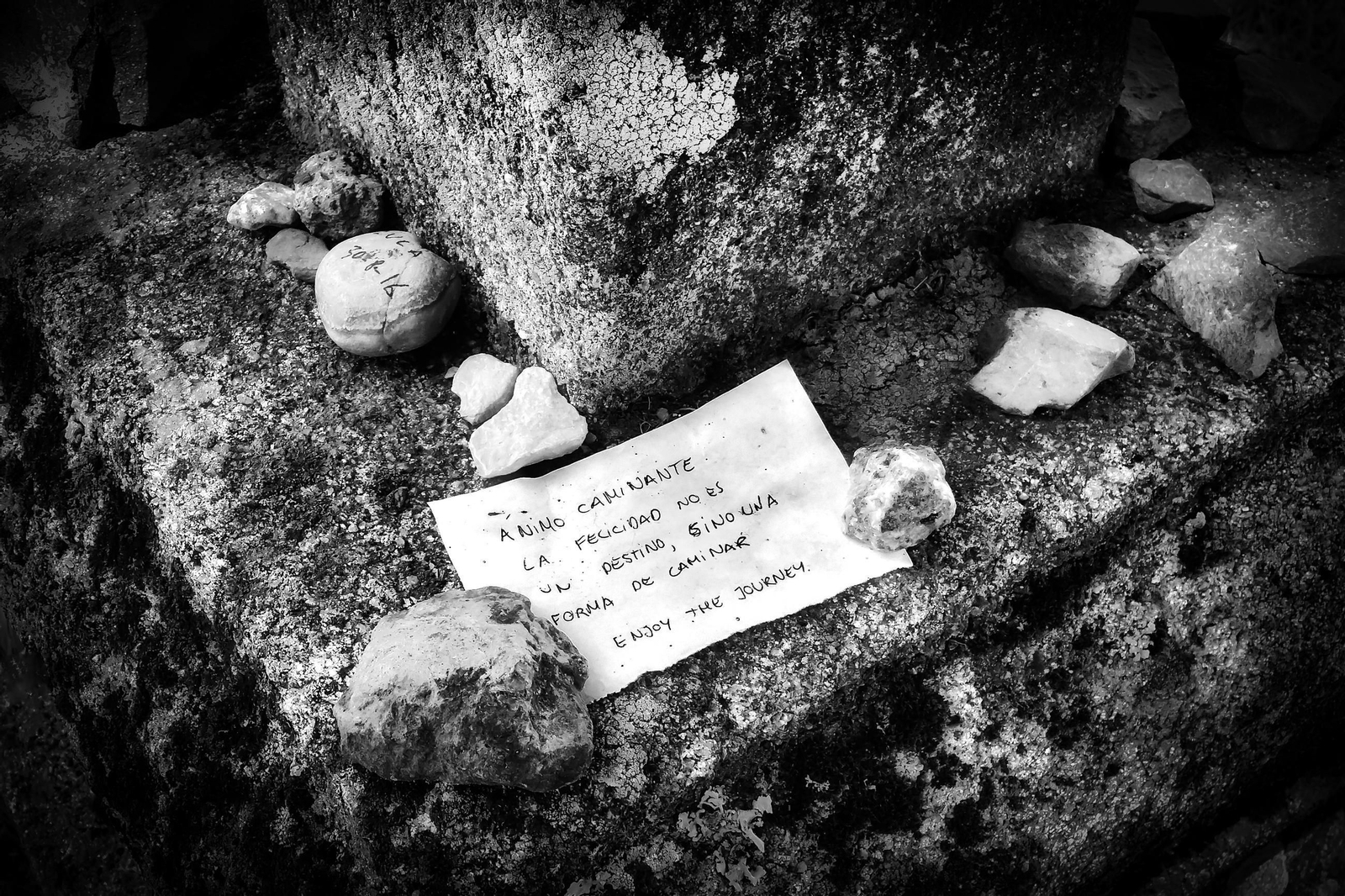 7º ENJOY THE JOURNEY.jpg