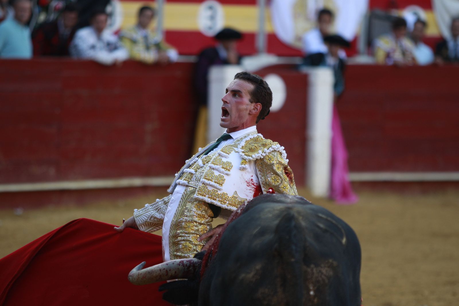 Imágenes de la corrida de toros del jueves en la Feria de Almería 2024