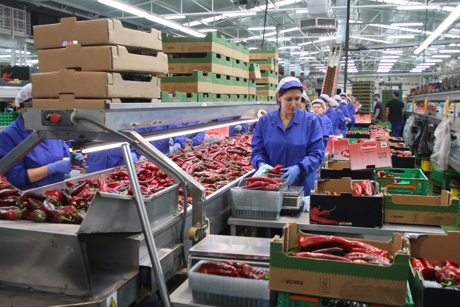 Las imágenes de la visita de Susana Díaz a Almería