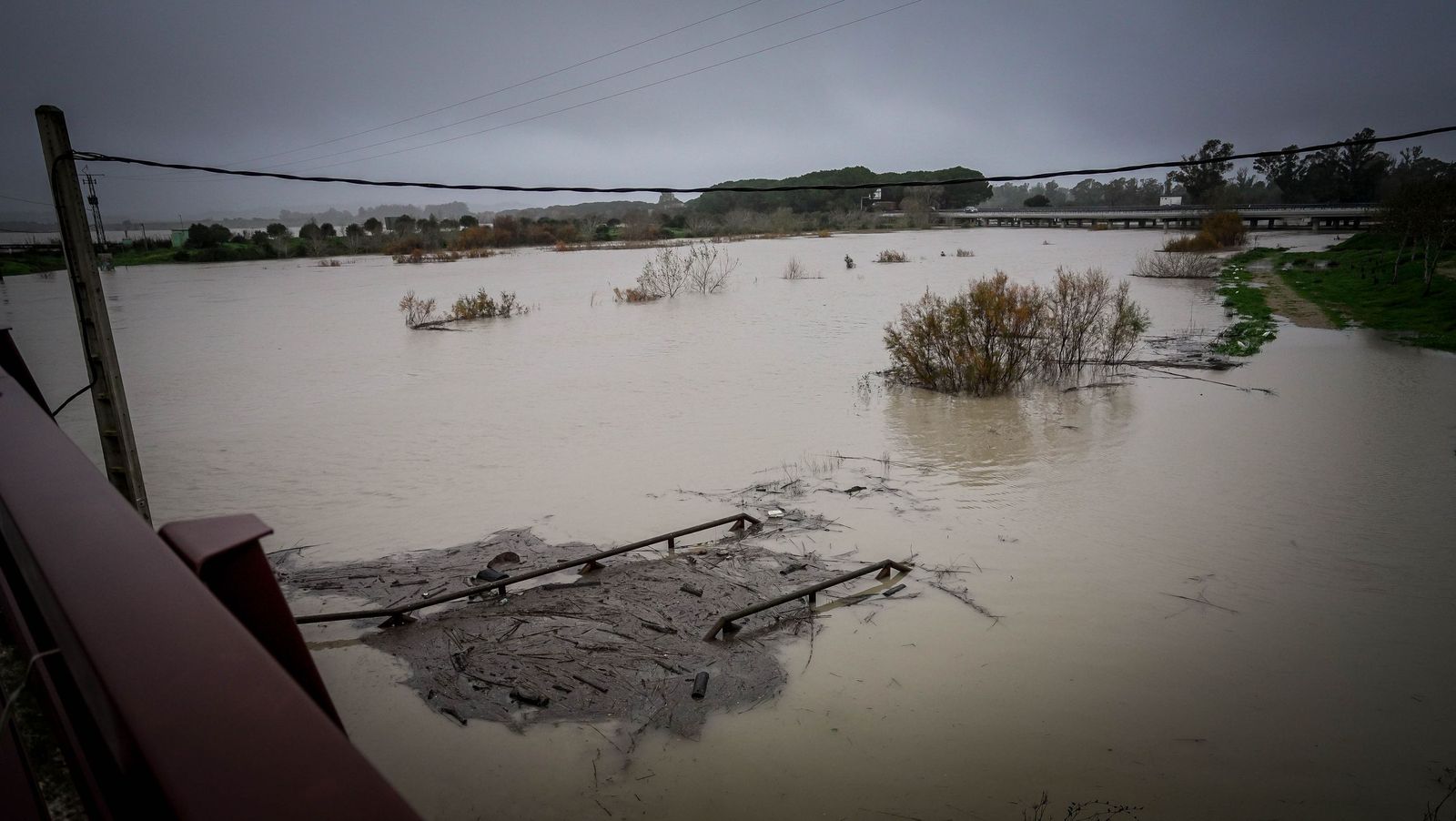 Imágenes de las graves consecuencias de la crecida del rio Guadalete en la zona rural de Jerez
