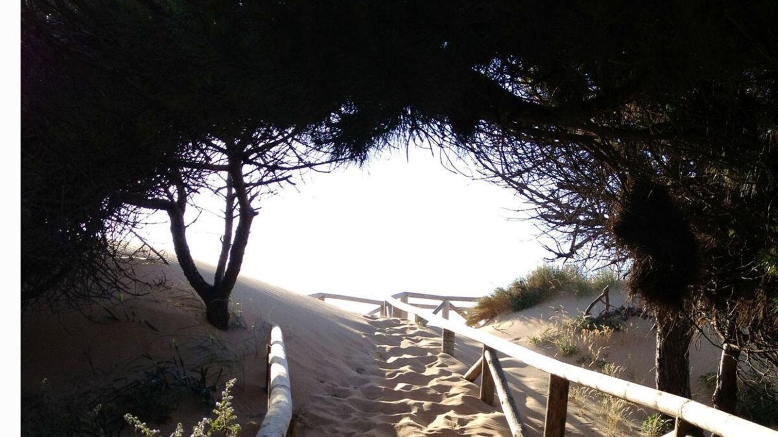 La playa de Punta Candor,  en Rota.