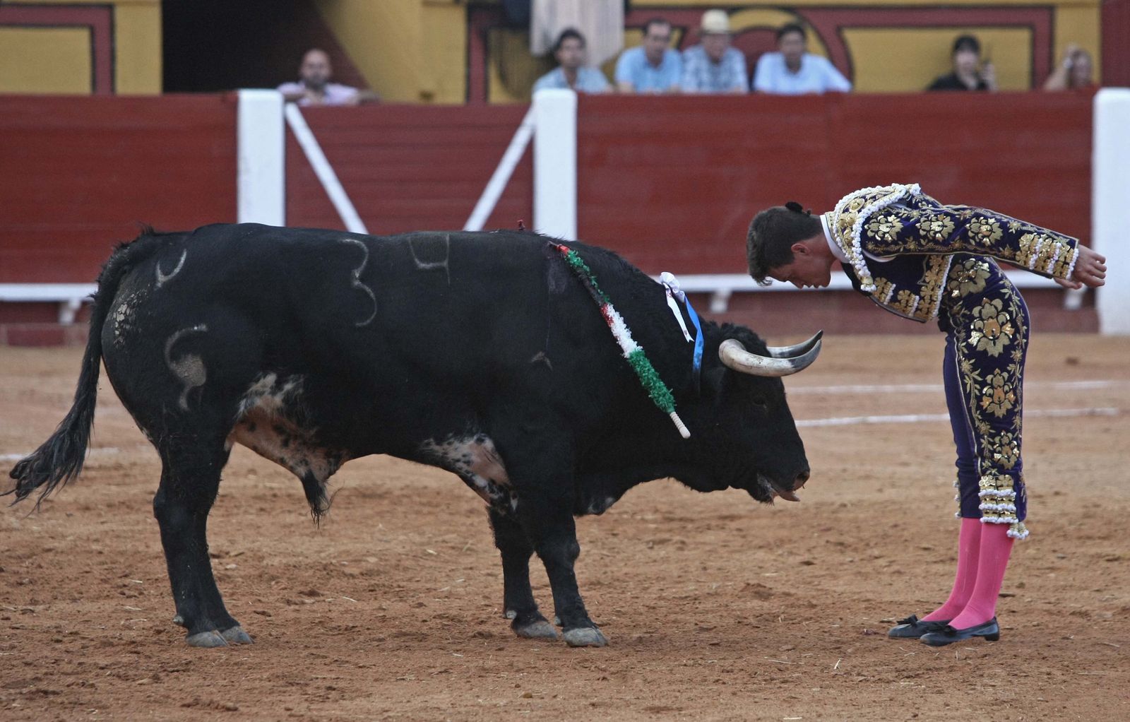 David Galván, en la Feria de Algeciras de 2017