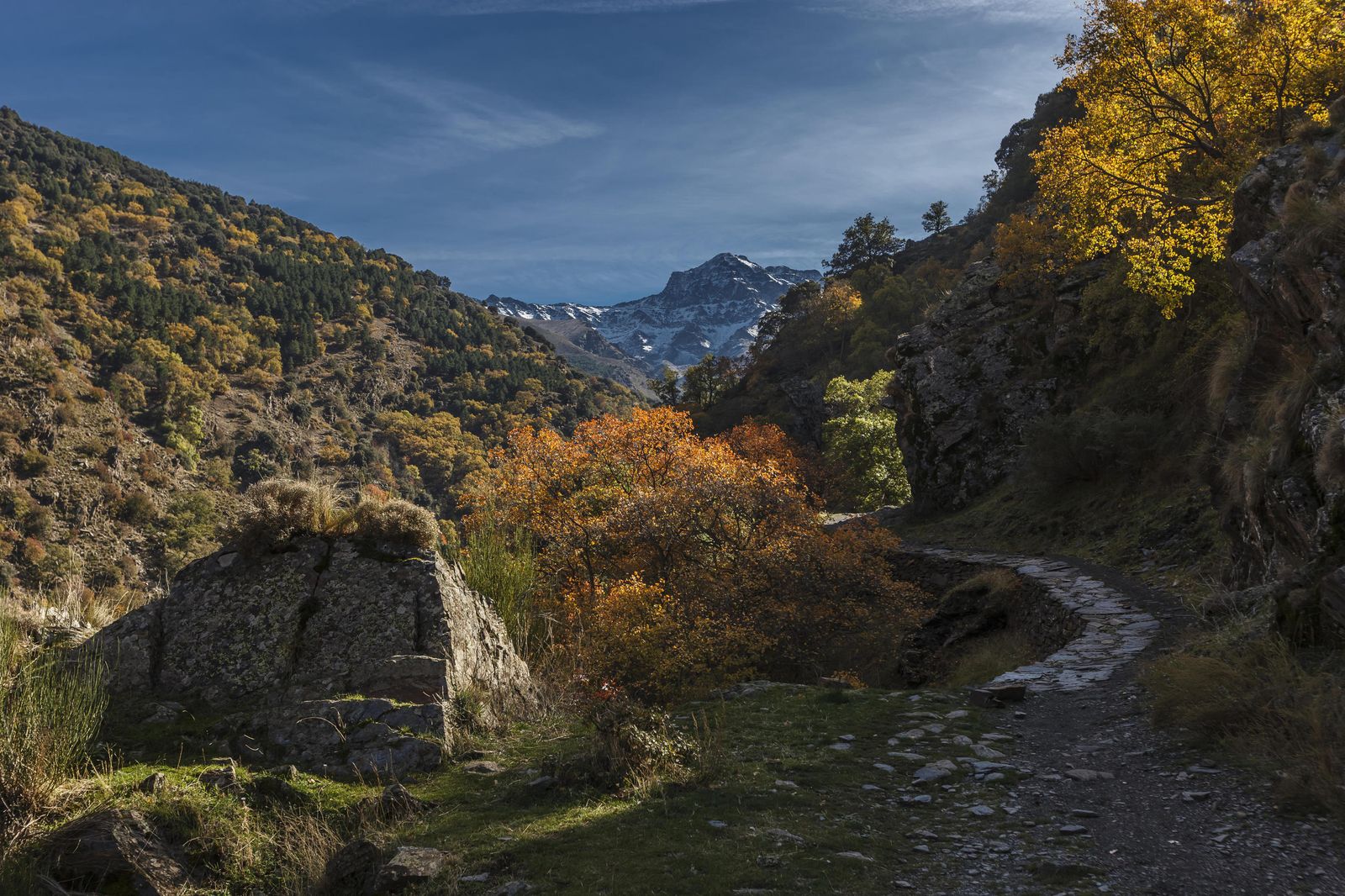 Imagen de archivo de una tramo de la Vereda de la Estrella, en Güéjar Sierra