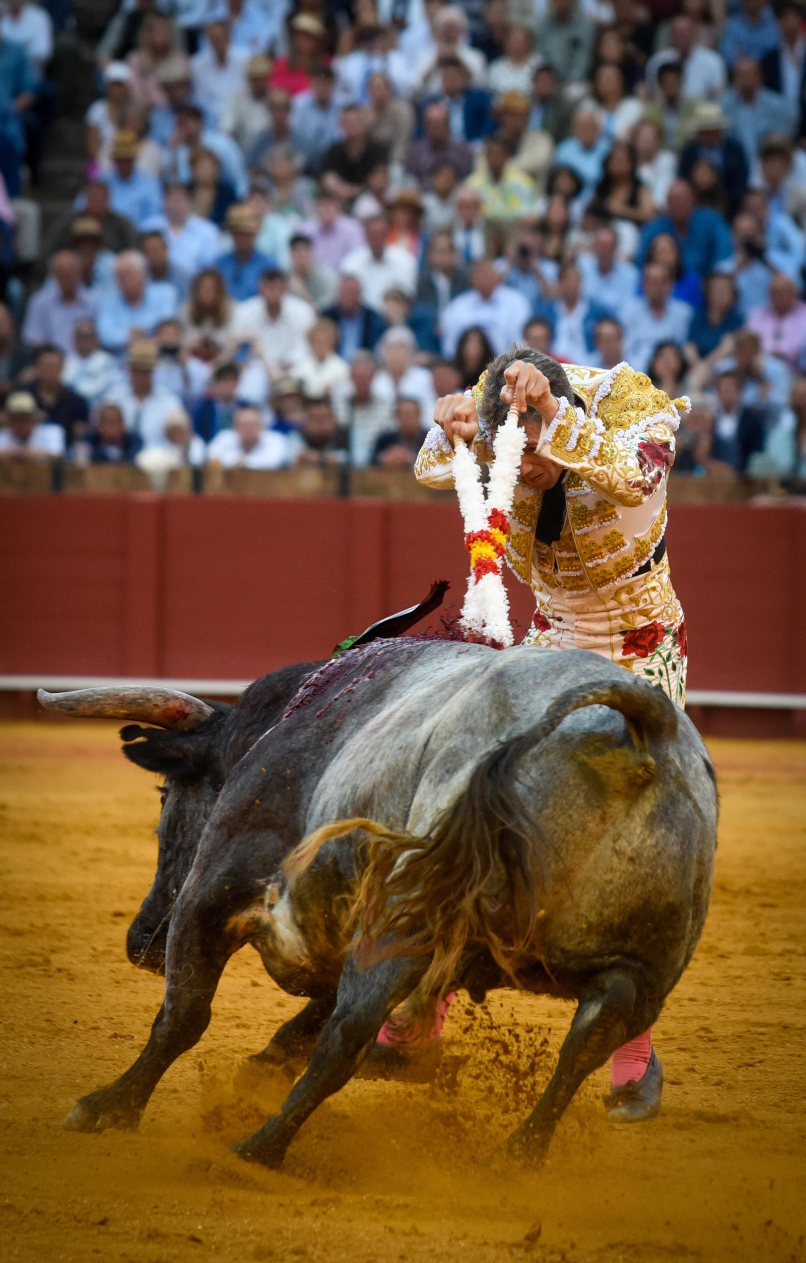 Las imágenes de la corrida de toros de El Fandi, Manuel Escribano y Esaú Fernández