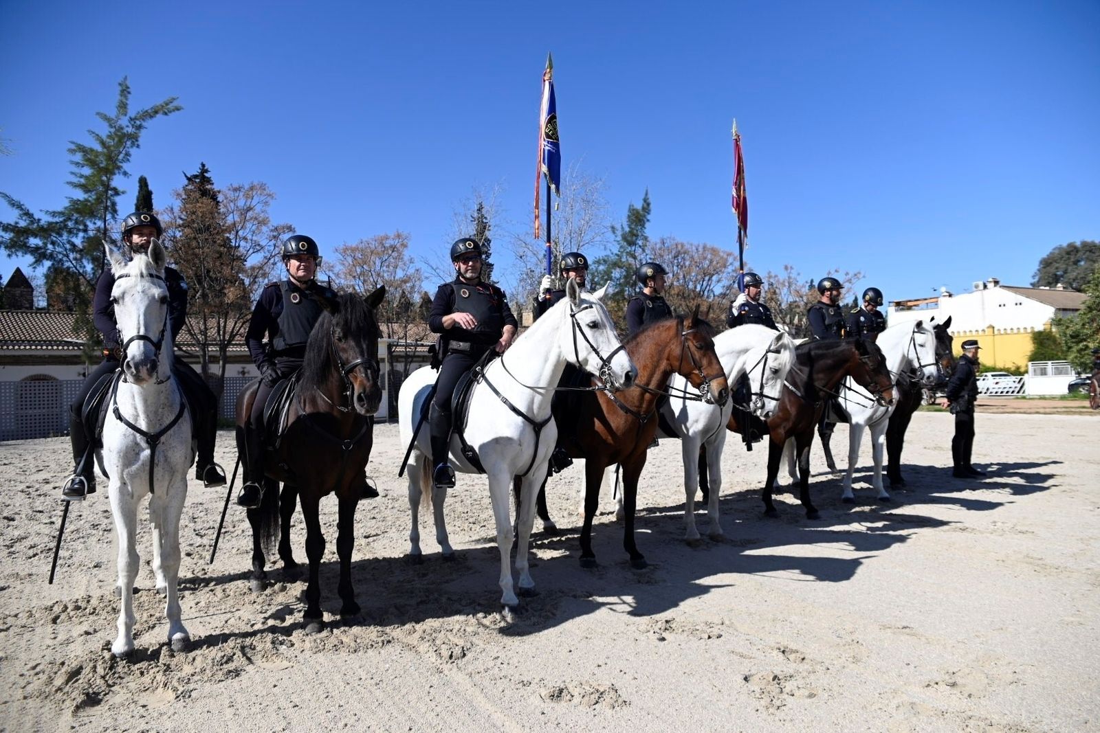 Las mejores fotografías la Marcha Hípica 'Córdoba a Caballo' por el 28F