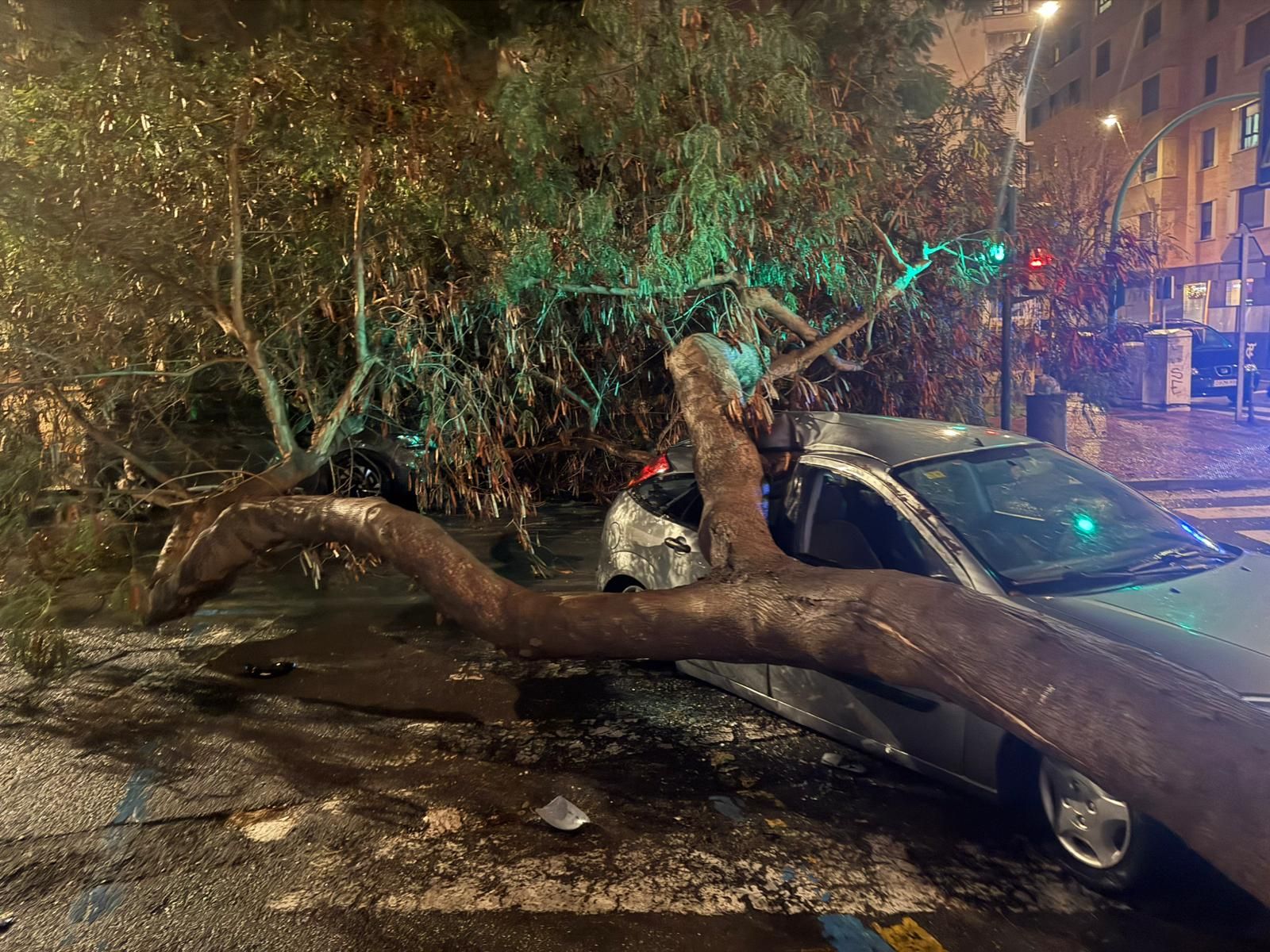 Un vehículo bajo el árbol caído en la calle Gregorio Marañón de Almería.