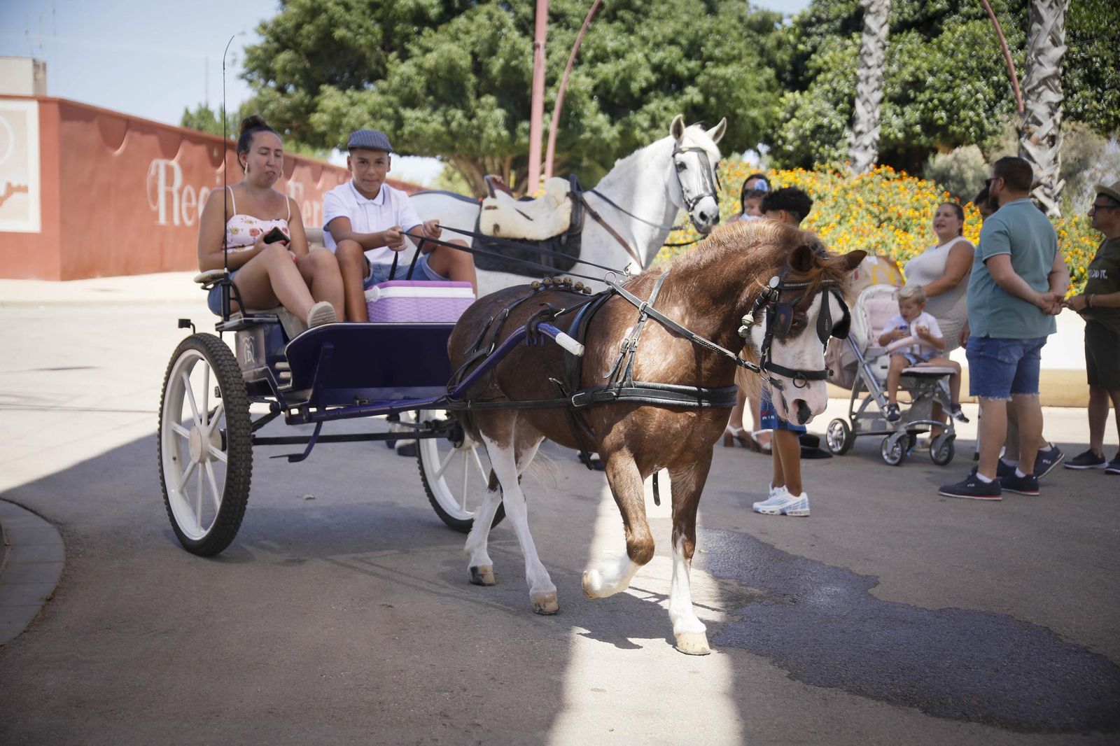 Las imágenes del paseo de Caballos y Carruajes, en el recinto ferial