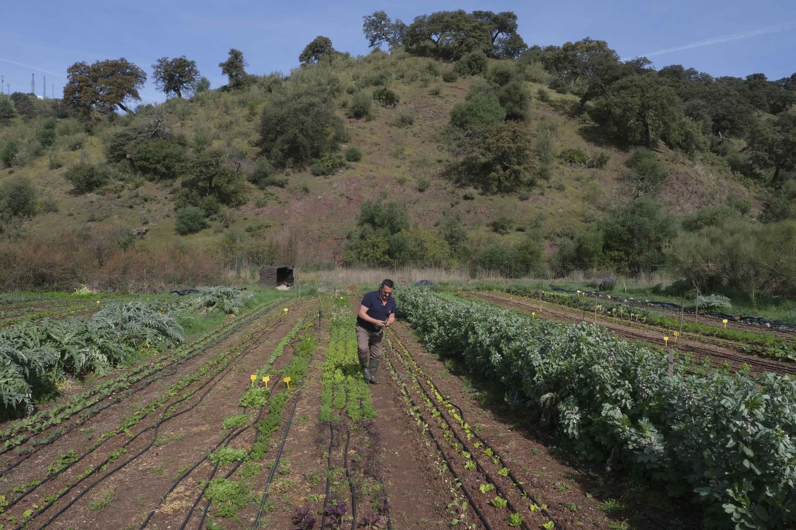La Donaira, en fotos