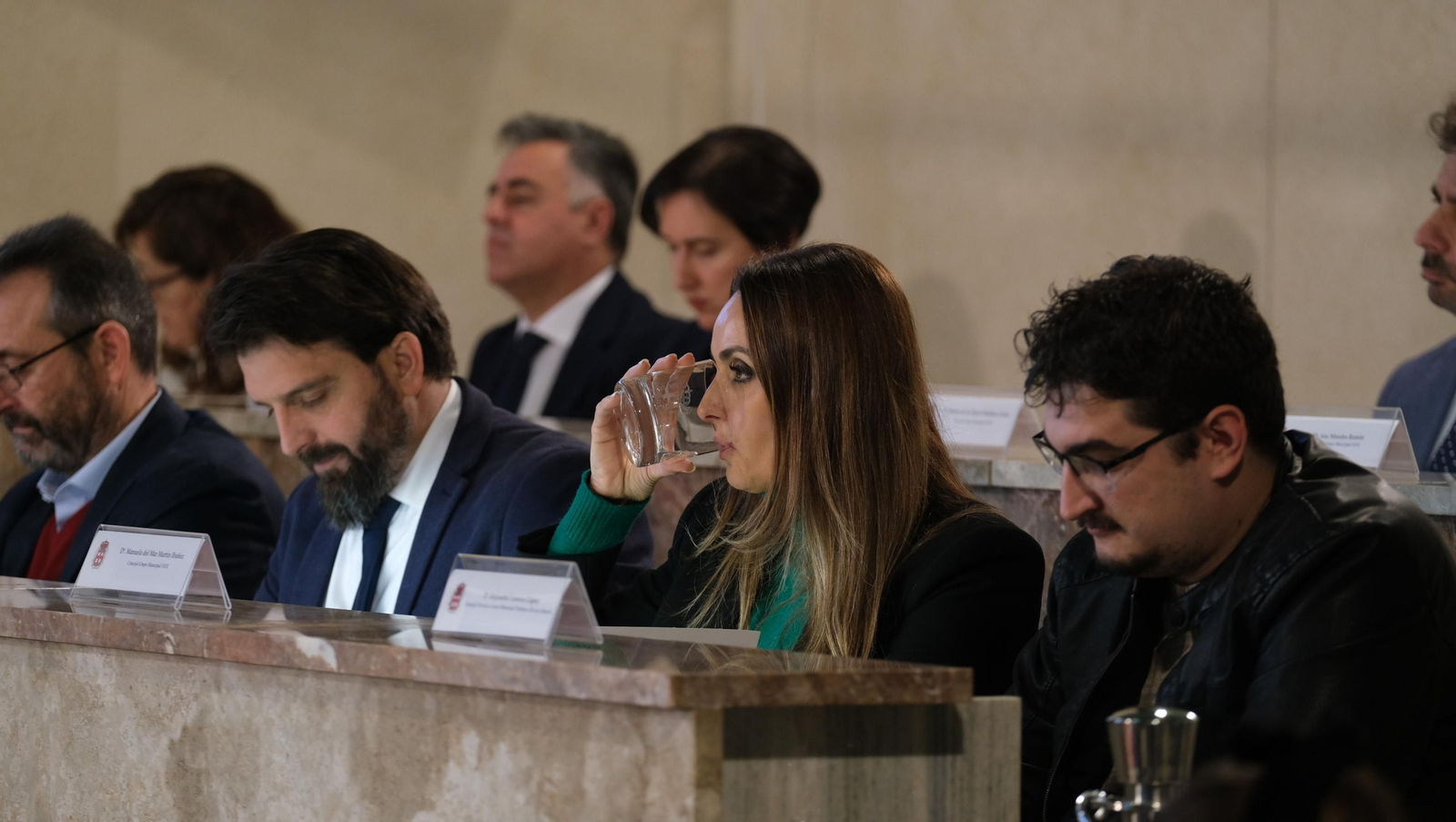 Imágenes del Pleno del Ayuntamiento de Almería