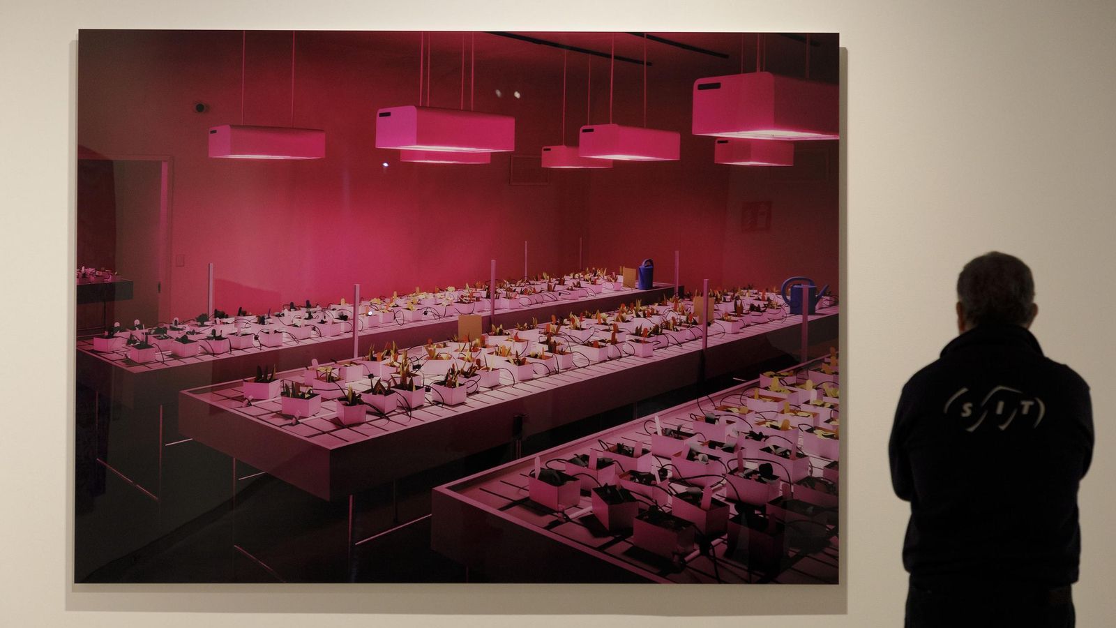 Un visitante contempla la pieza 'Vivero' de Thomas Demand.