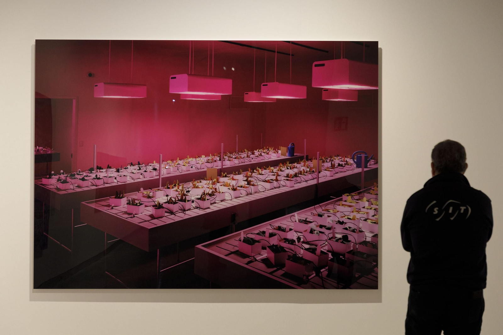 CaixaForum Sevilla. Inauguración de la exposición 'Horizonte y límite. Visiones del paisaje'