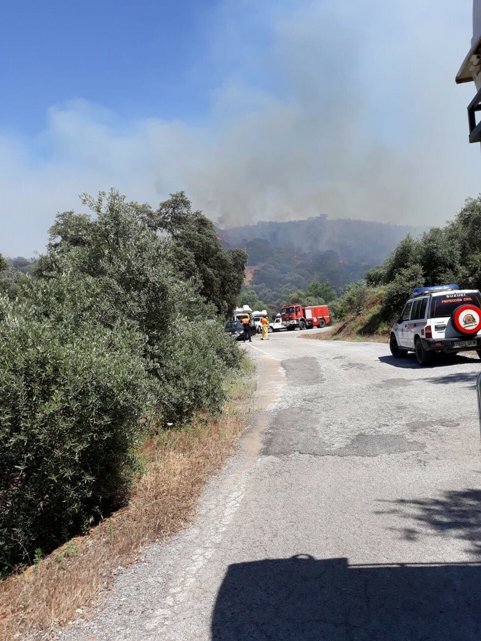 Efectivos del Infoca y bomberos de la Diputación intervienen en un incendio forestal en Adamuz
