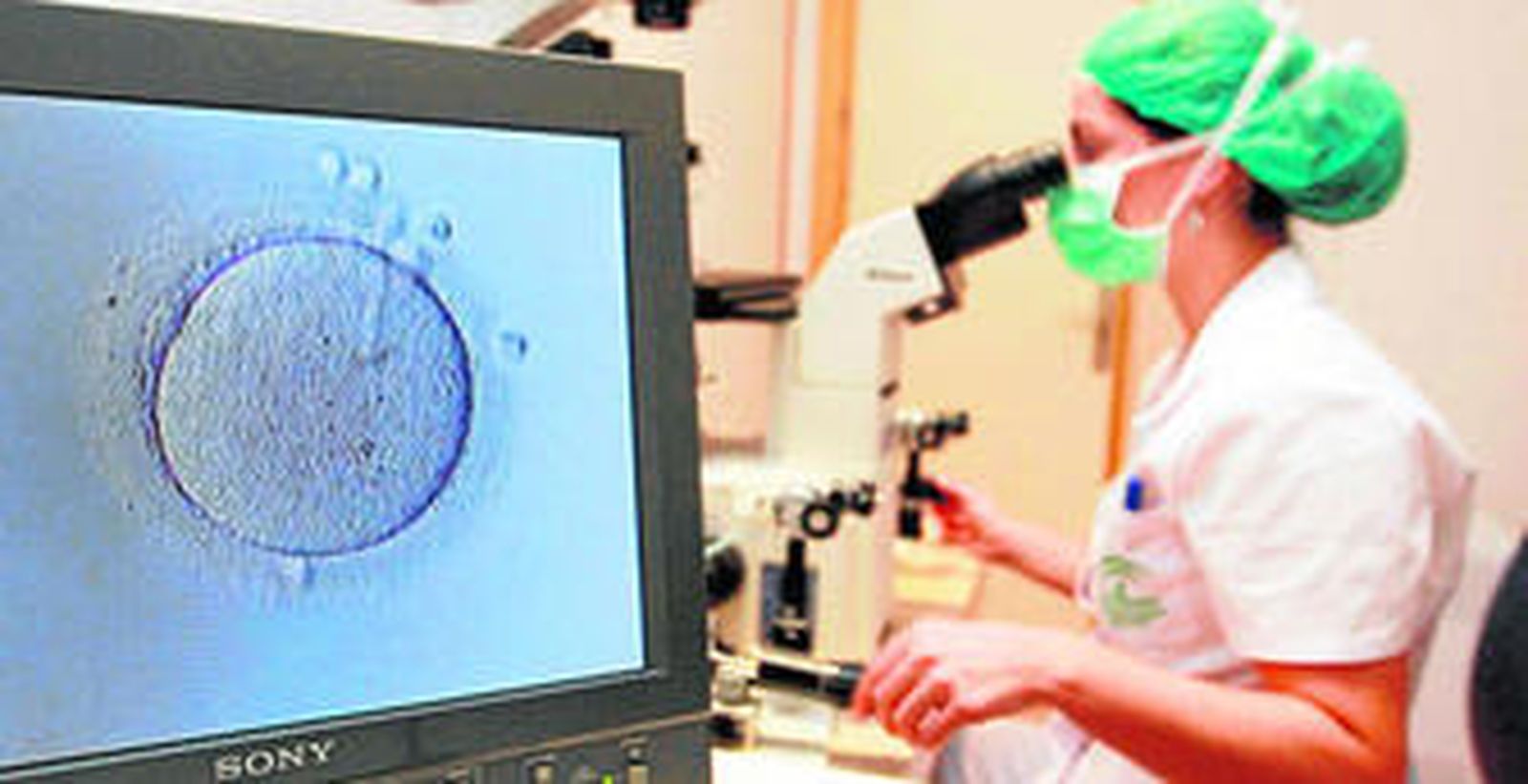 Una trabajadora observa células a través del microscopio.