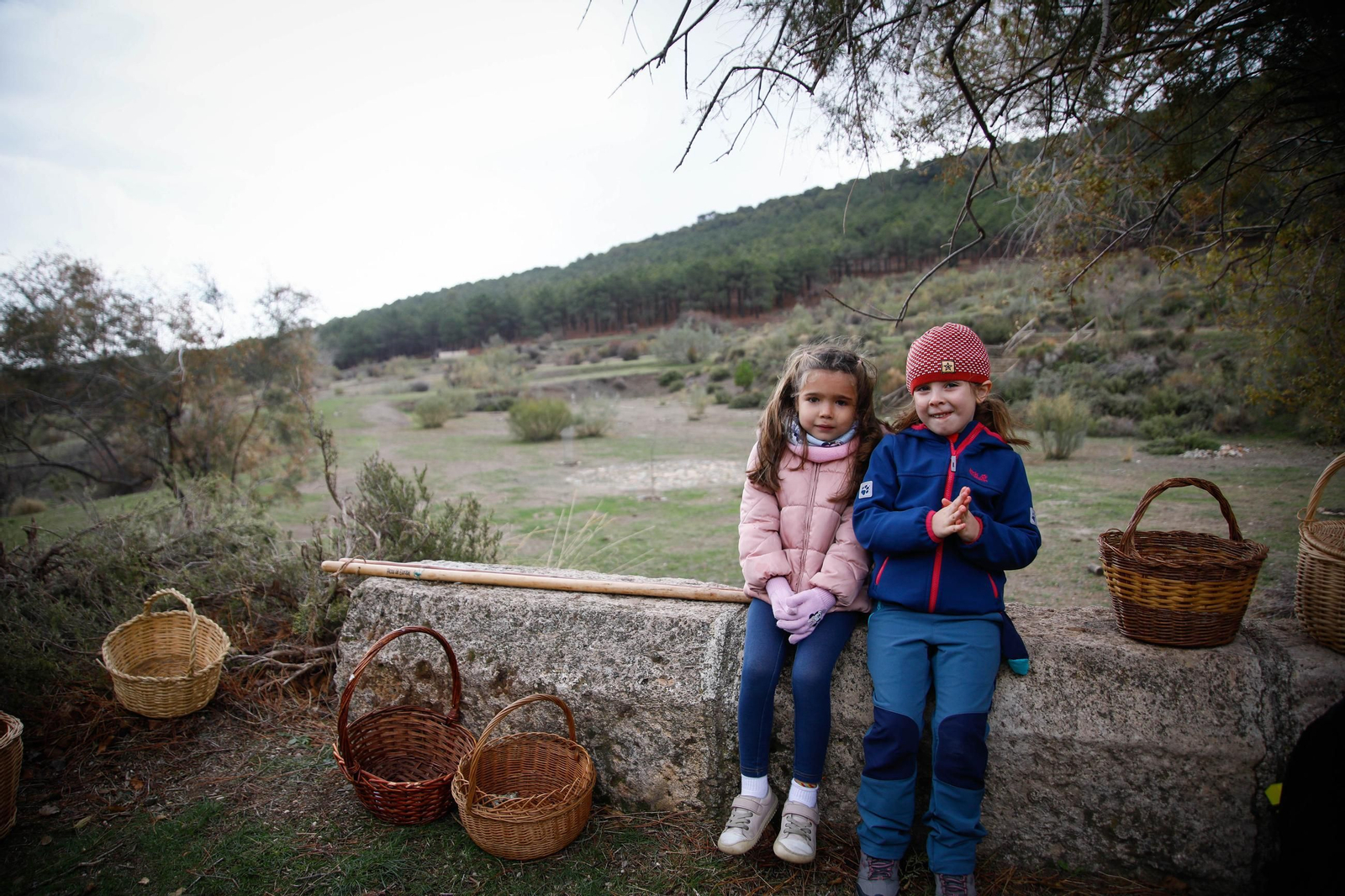 La ruta recolectora de setas en Abla por las XIX Jornadas Micológicas, en imágenes