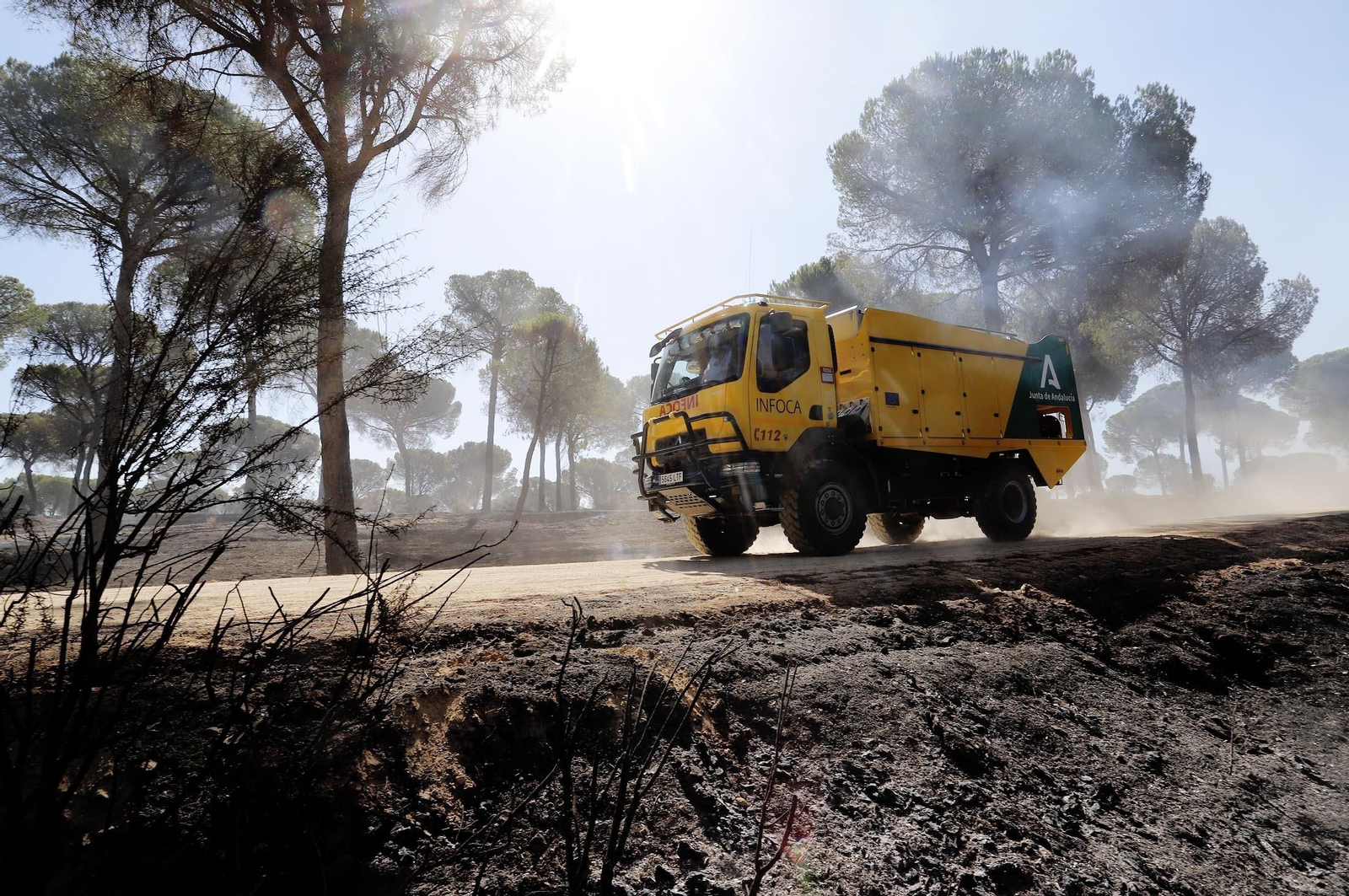 Imágenes de las zonas afectadas por los incendios de Almonte y Bonares