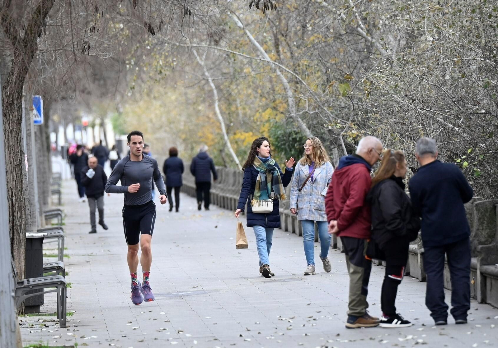 Un paseo en imágenes por la Ribera de Córdoba una gélida mañana