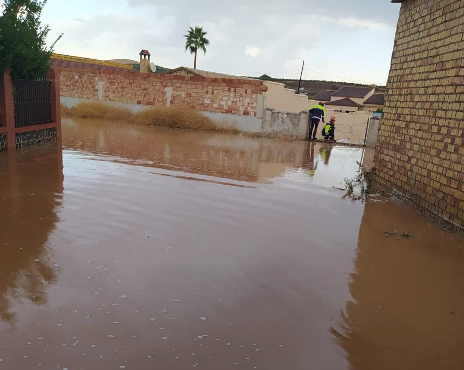Finca El Coronel, en Puente Genil, anegada por la lluvia. Finca El Coronel, en Puente Genil, anegada por la lluvia.