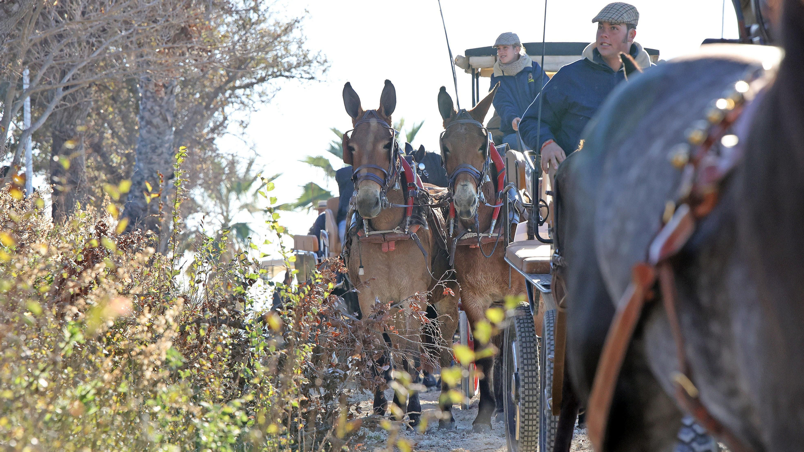 II Ruta Viñas de Jerez