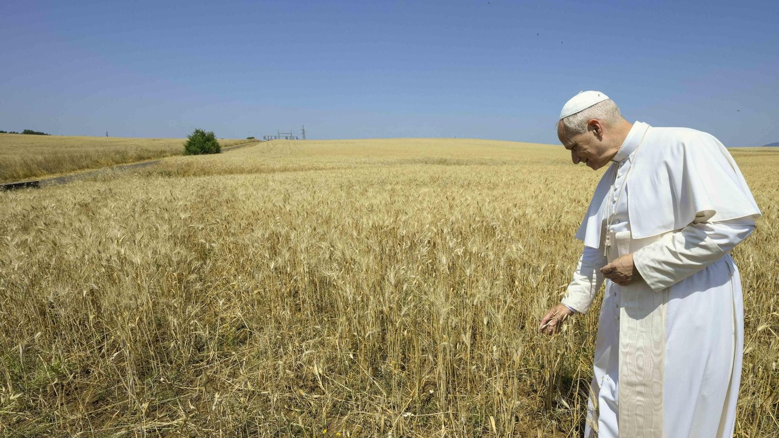 El papa León XIV en un trigal de unos campos a las afueras de Roma. El papa León XIV en un trigal de unos campos a las afueras de Roma.