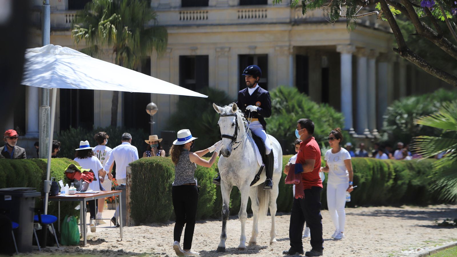 Concurso de Doma Clásica en Real Escuela