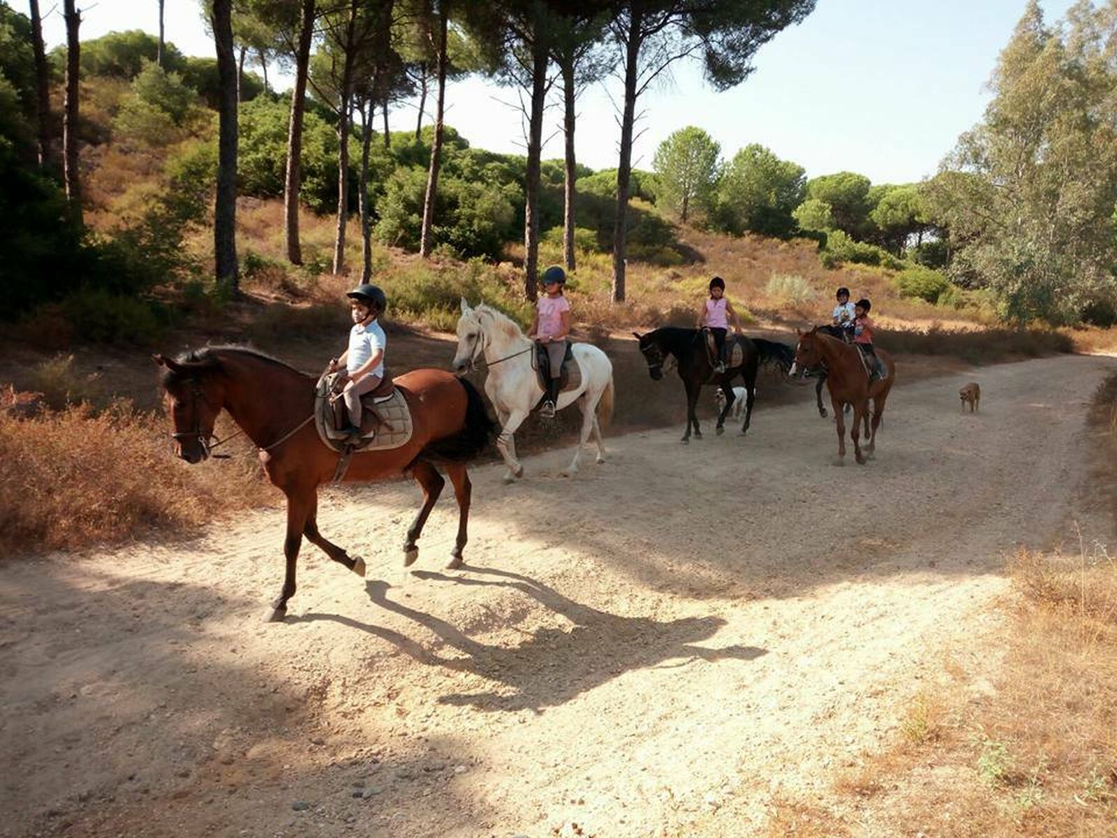 Alumnos del Club Hípico 'La Cabriola', en una salida por los pinares de La Puebla del Río.