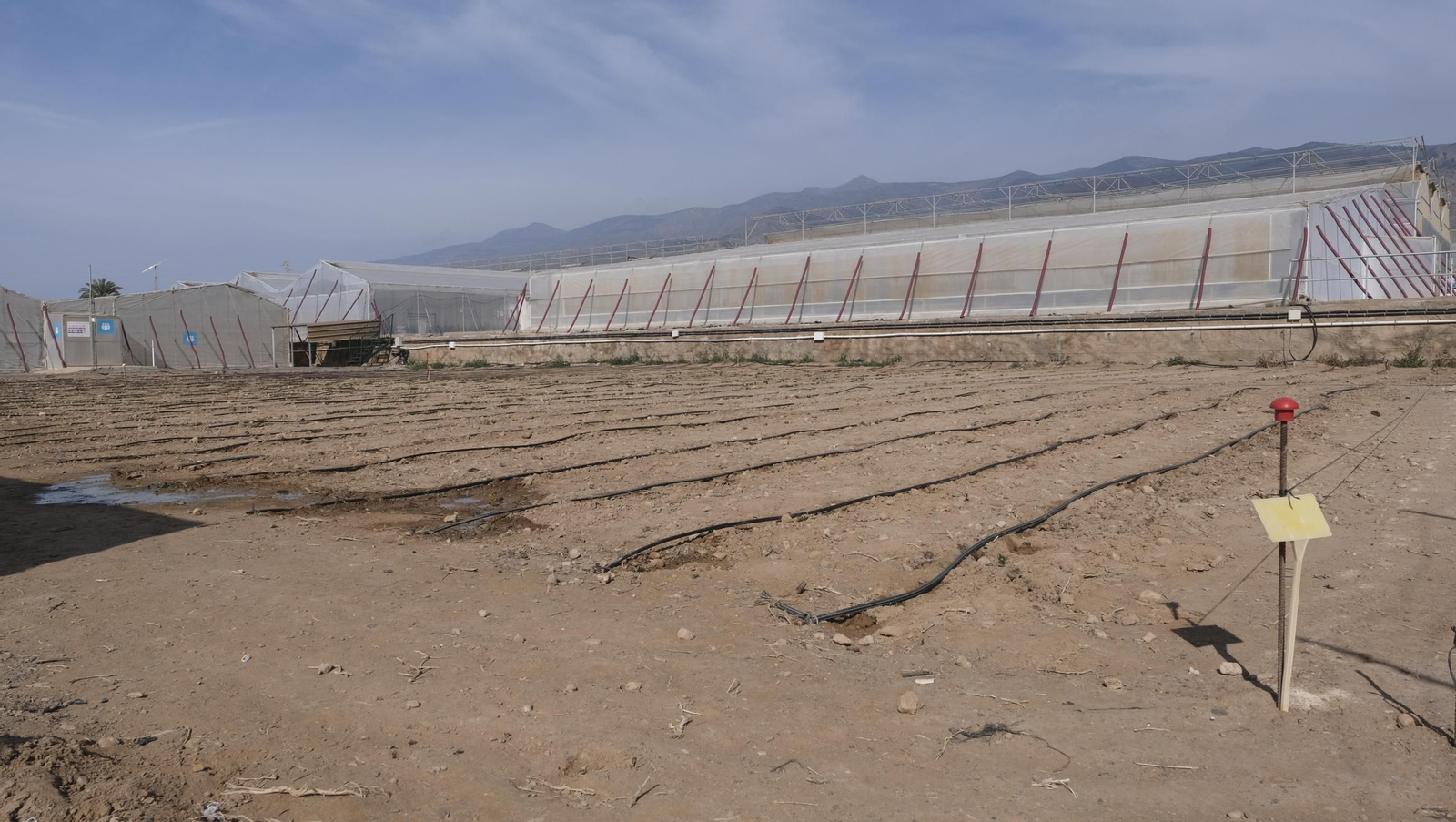 50 años de la Estación Experimental Cajamar-Las Palmerillas, en fotos
