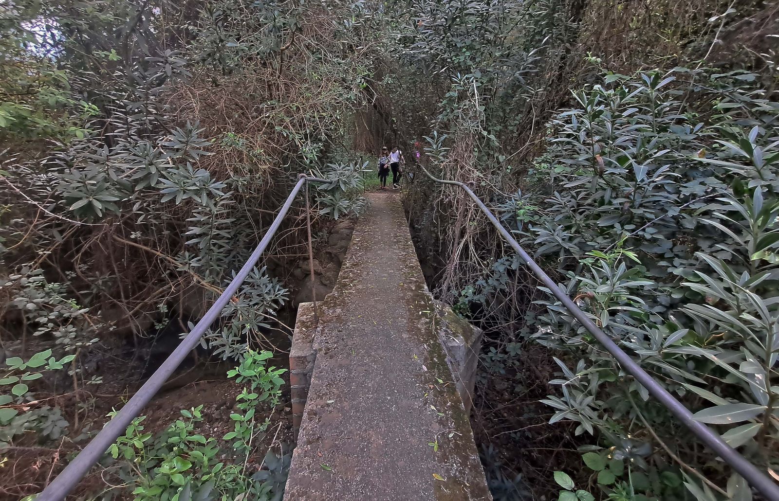 Fotos del sendero de la Garganta de Marchenilla en Algeciras