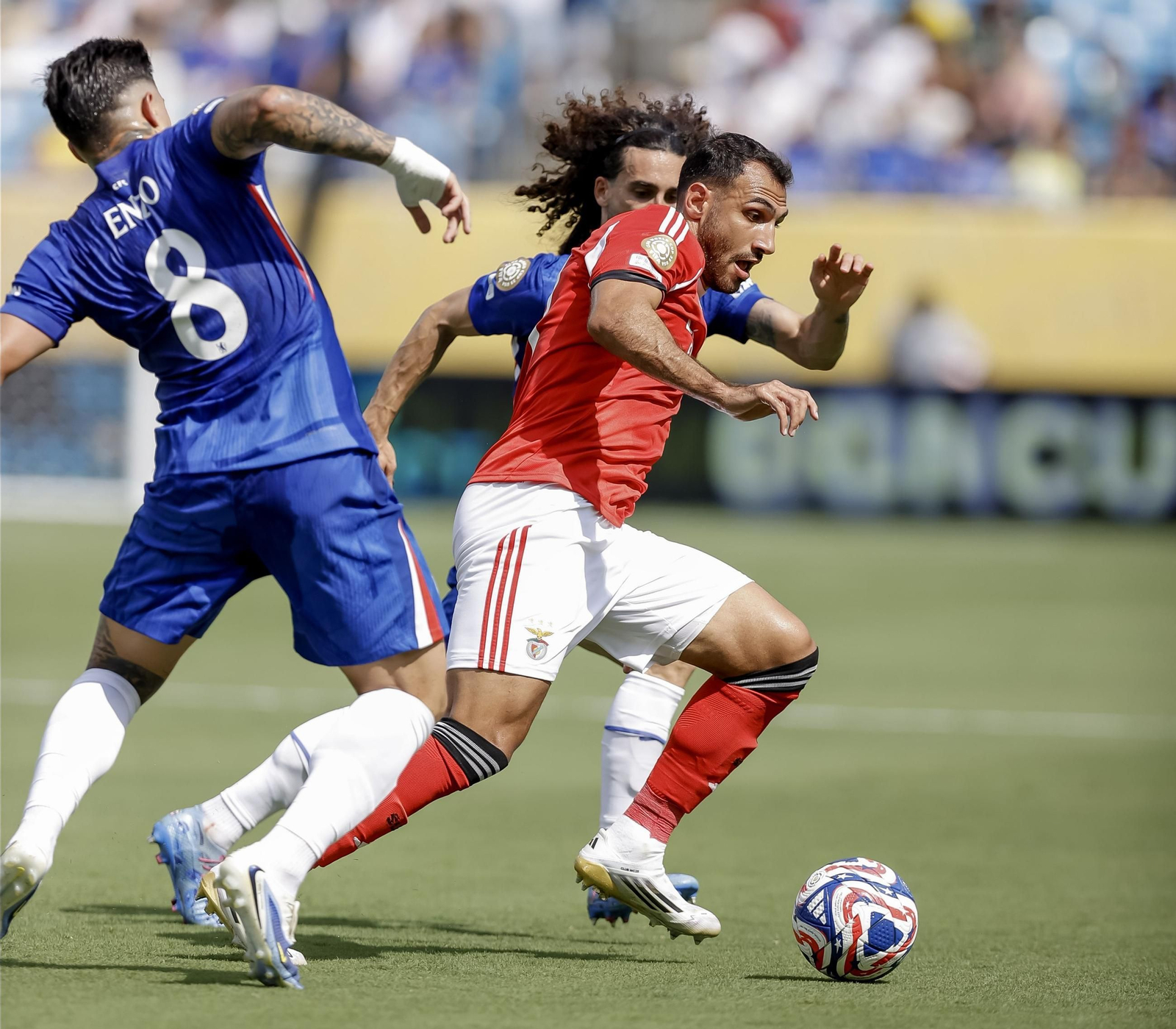 Benfica-Chelsea (52).jpg