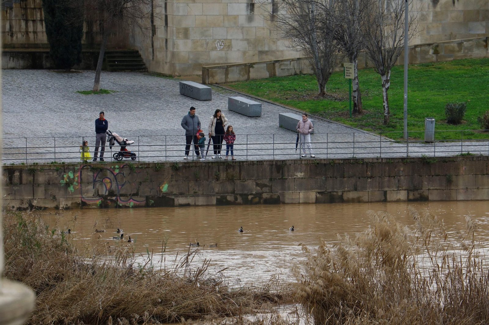 La crecida del río Guadalquivir en Córdoba tras las lluvias caídas por la borrasca Karlotta, en imágenes