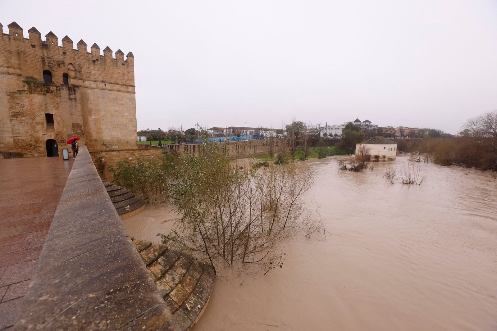 Así pasa el río Guadalquivir este lunes por Córdoba